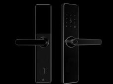 青松沃德-Wi-Fi 指紋鎖家用防盜門智能門鎖密碼鎖刷卡電子鎖 防磁干擾 防撬 L9-WT (不含鎖體，鎖體需另購(gòu)）